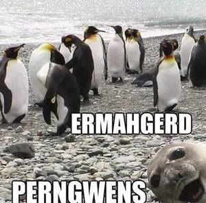 Meet your Posher, Carrie